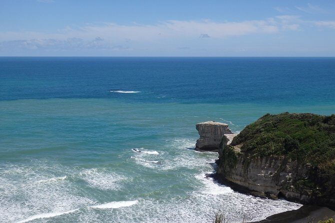 Shore Excursion: Auckland Scenic Full Day Tour - 8 Hours - Muriwai gannets and black-sand coast views (short stop, big payoff)