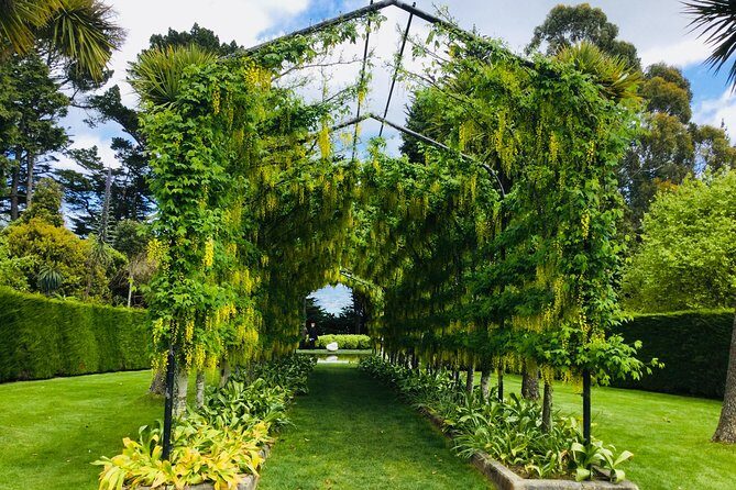 Shore Excursion: Dunedin City, Otago Peninsula, Castle Gardens & Olveston Tour - What I’d do to make the 6 hours feel smooth