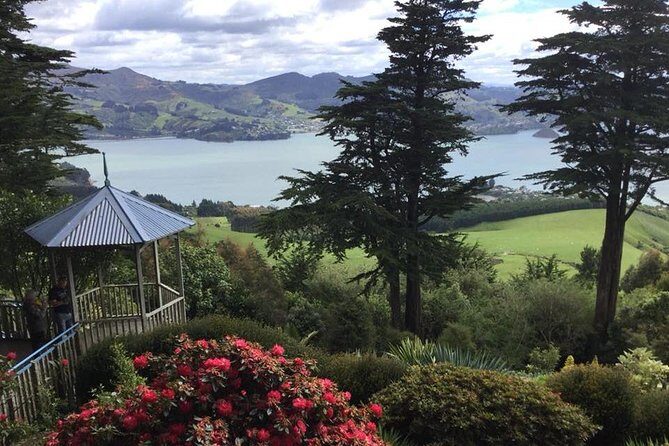 Shore Excursion: Dunedin City, Otago Peninsula, Castle Gardens & Olveston Tour - Baldwin Street and Signal Hill: the fastest way to get your bearings