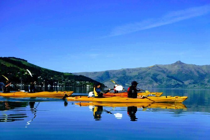 Shore Excursion Guided Sea Kayaking through Akaroa Marine Reserve - Key highlights I’d center in your planning