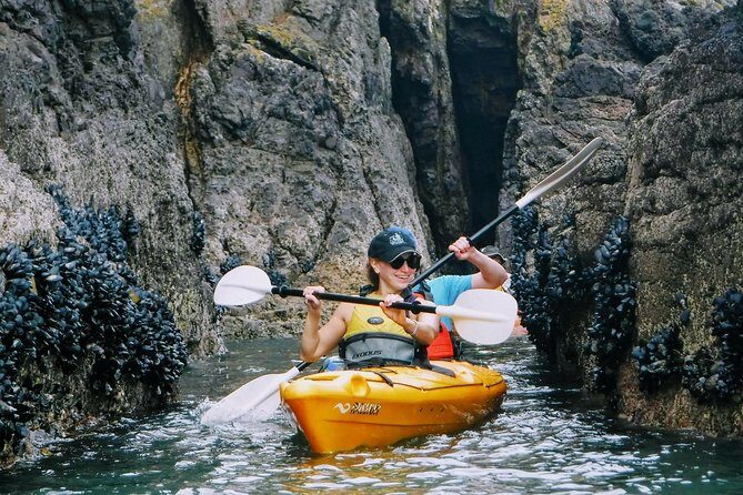 Shore Excursion Guided Sea Kayaking through Akaroa Marine Reserve - The 2–3 hour kayak safari: what the flow feels like