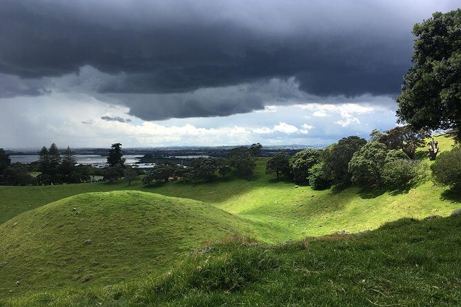 Shore Excursion: Half-Day Auckland Volcanoes Tour - Mt Eden: the big crater walk over Auckland