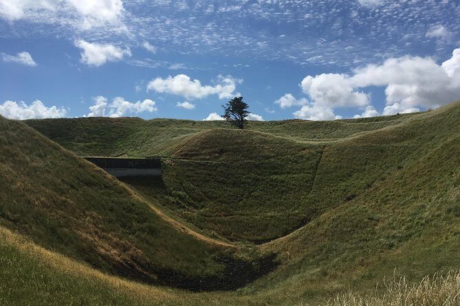 Shore Excursion: Half-Day Auckland Volcanoes Tour - First stop: Achilles Point and the Hauraki Gulf clues
