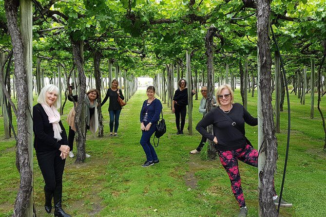 Shore Excursion Marlborough Wine Region Tour from Picton - A few practical tips before you go