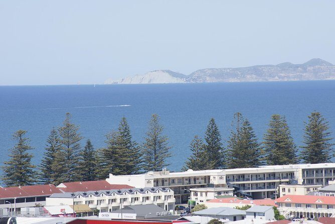 Shore Excursion: Napier and Surrounding Countryside Scenic Tour - Marewa Art Deco suburb drive and your chance to walk