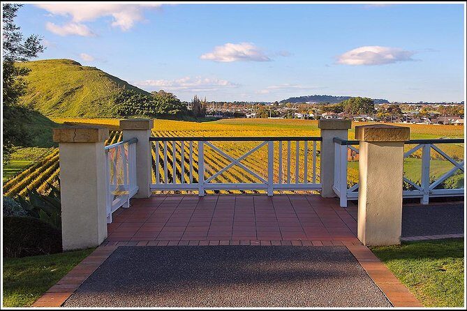 Shore excursion - Napier sight seeing/Art Deco Tour, - Price and value: what $61.44 buys you (and what it doesn’t)