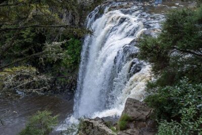 Shore Excursion to Historic Kerikeri including Lunch - Rainbow Falls viewing platforms: start strong and photo-ready