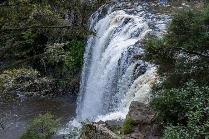 Shore Excursion to Historic Kerikeri including Lunch - Rainbow Falls viewing platforms: start strong and photo-ready