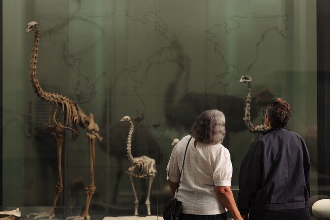 Skip the Line: Auckland Museum General Admission Ticket - Price and value at about $16.76: when this ticket feels like a win