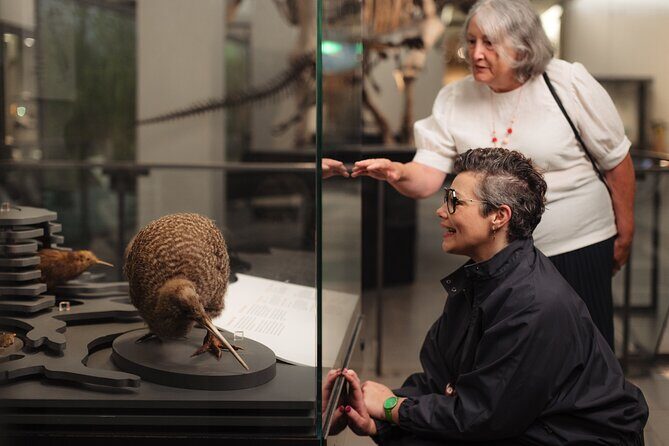 Skip the Line: Auckland Museum General Admission Ticket - Your 3 to 4 hours: how to plan the floors without rushing