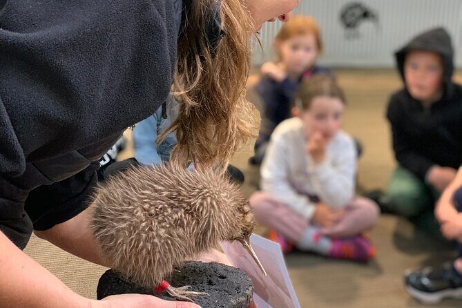 Skip the Line: Franz Josef Wildlife Center Ticket with Optional Backstage Pass - Key highlights you can plan around