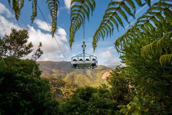Skywire Adventure at Cable Bay, Nelson - Views worth the ticket: forest canopy, mountains, and the people explaining it