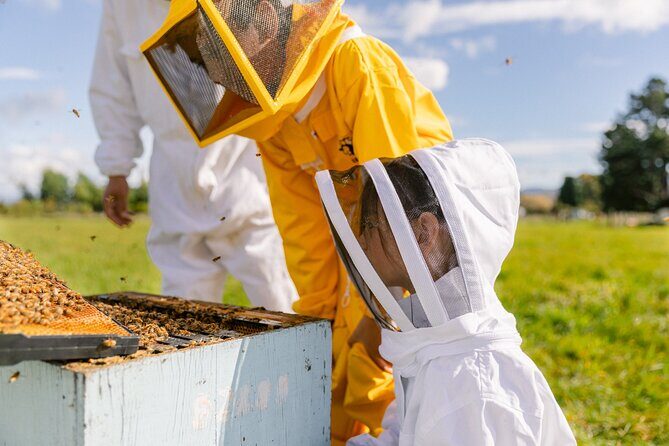 Small-Group Beekeeping Experience in Tauherenikau - Key Points You’ll Care About