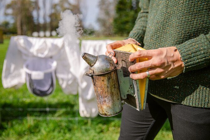 Small-Group Beekeeping Experience in Tauherenikau - Where Tauherenikau Honey-Making Starts: The Honey Stables