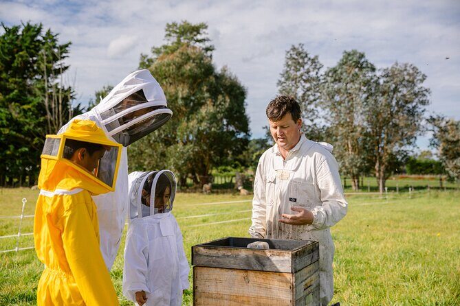 Small-Group Beekeeping Experience in Tauherenikau - What the Factory Portion Adds: Hive to Jar, Not Just Tasting