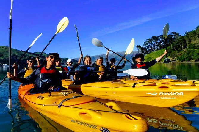 Small group guided sea kayaking in Akaroa marine reserve - Key Things You’ll Remember About Akaroa Sea Kayaking