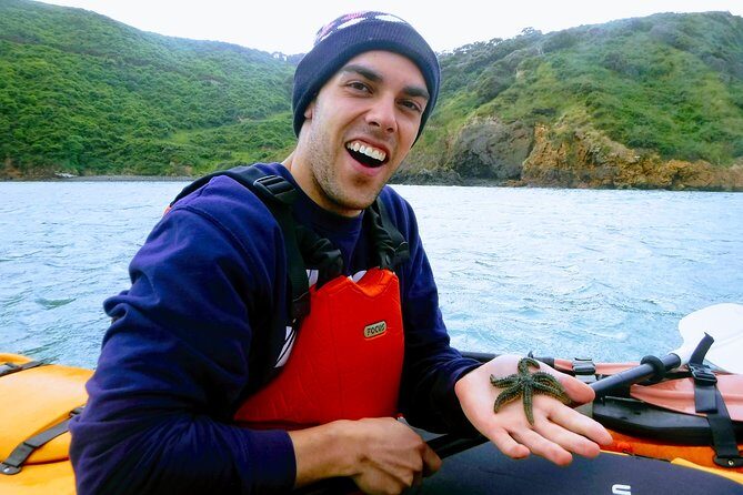 Small group guided sea kayaking in Akaroa marine reserve - Akaroa Marine Reserve by Kayak: The Point of This Trip