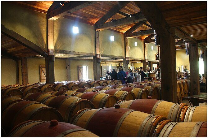 Small Group - Half-Day Hawke's Bay Winery Tour - What Guides Actually Do Here (Beyond Pouring Wine)