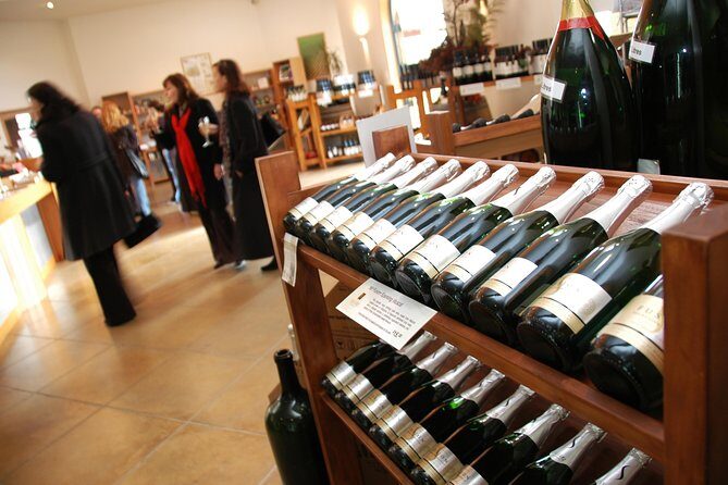 Small-Group Kumeu Wine Country Tour with Wine Tastings & Lunch - Soljans Estate: Lunch First, Then Wine Tastings