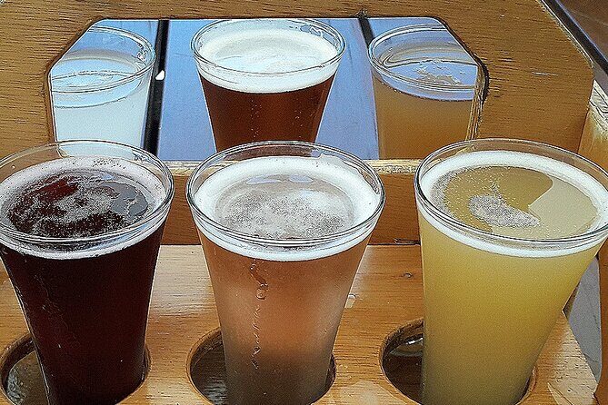 Small group - Napier Premium Winery , Beer & Cider + 5.5h to 6h. - Lunch at the Middle: Cheese Platters or Pizzas That Keep You Comfortable