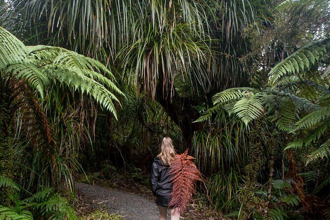 Small Group Northern Voyager 7 Days Tour - Tongariro Crossing day: a famous hike with real commitment