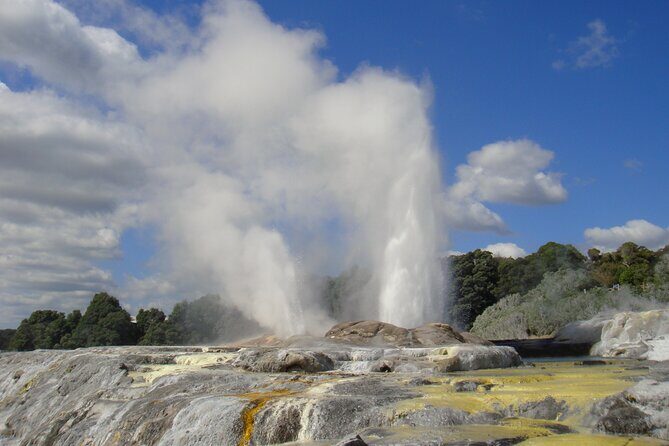 Small Group Waitomo and Rotorua including Te Puia Tour - Key highlights to watch for