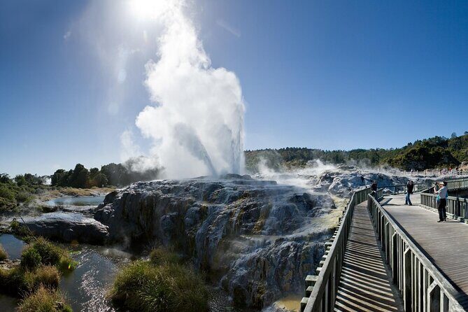 Small Group Waitomo and Rotorua including Te Puia Tour - Rotorua’s Te Puia: geysers, mud pools, kiwi, and Māori crafts
