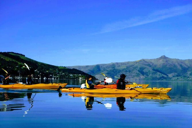 Solar Explorer in Akaroa - Sun-Viewing Tour with Telescopes - Price and value: $24.20 for a high-tech mini lesson