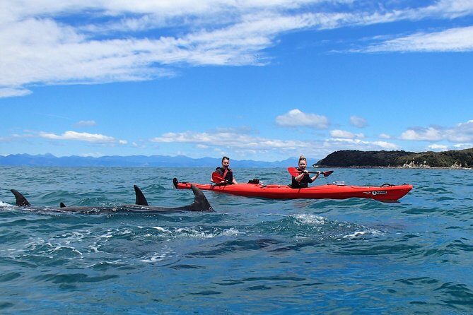 Southern Duo kayak & walk tour - Price and Value: Is $117.91 Worth It?