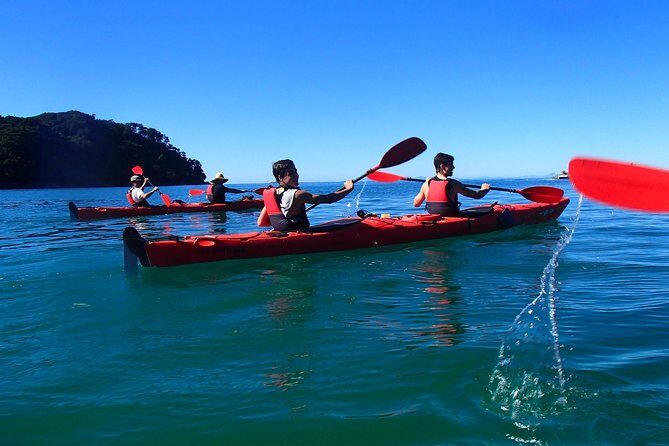 Southern Duo kayak & walk tour - Weather, Comfort, and Fitness: What You Need to Know Before You Go