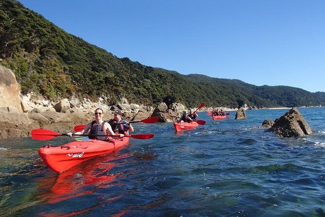 Southern Duo kayak & walk tour - Kayaking to Adele Island: What Two Hours on the Water Really Delivers
