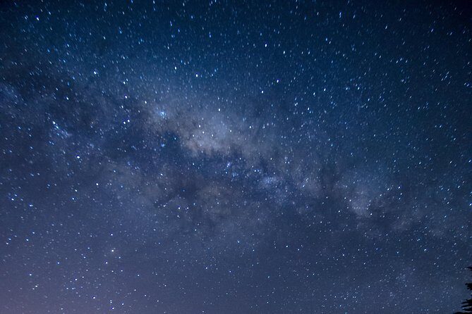 Southern Skies Stargazing Tour in Dunedin - Price and value: what $109 buys you in real terms
