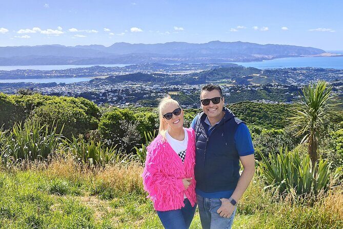 Spectacular Wellington: Full Day Private Sightseeing Tour - Wellington Wind Turbine viewpoint: 360 degrees without the tour-bus chaos