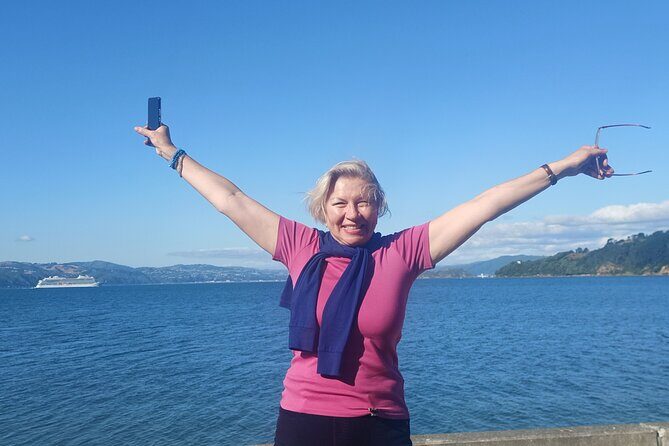 Spectacular Wellington: Full Day Private Sightseeing Tour - Wellington Cable Car: included tickets with less hassle
