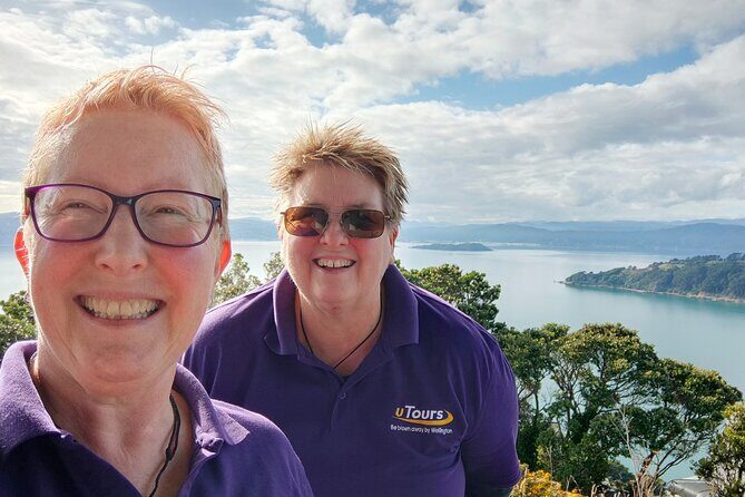 Spectacular Wellington: Half Day Private Sightseeing Tour - Wind turbine lookout: 360 views and a smart backup plan