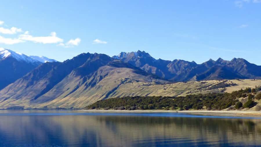 Stevensons Island 2-Hour Cruise and Nature Walk - Who this cruise is for (and who should think twice)