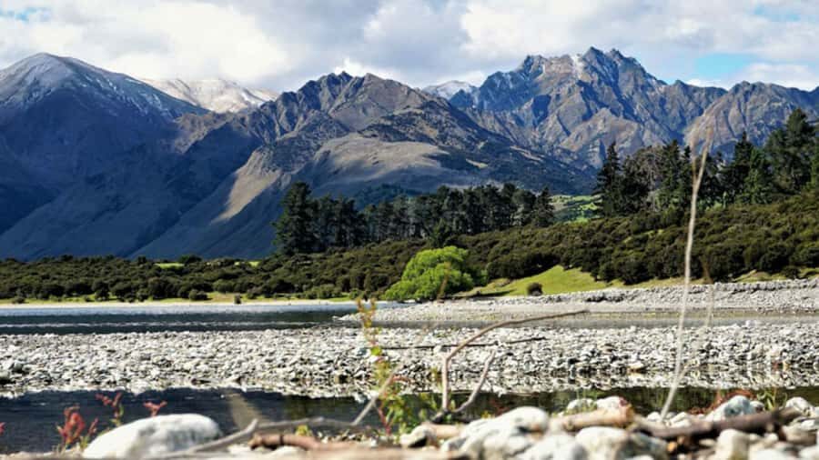 Stevensons Island 2-Hour Cruise and Nature Walk - Price and value: what $50 buys on the water