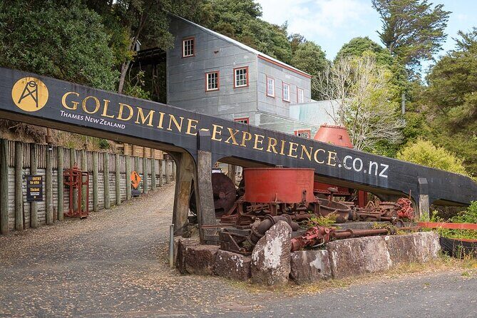 [Stevong Travel] West Coromandel Day Tour - West Coromandel in 11 hours: why this runs better than self-driving