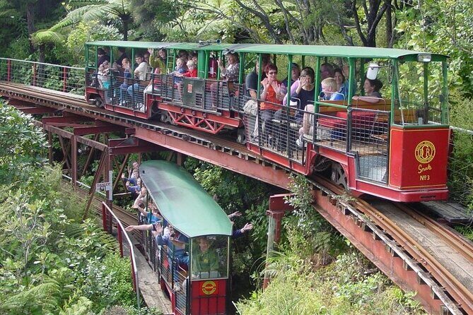 [Stevong Travel] West Coromandel Day Tour - Price and what you’re really paying for at $434.40