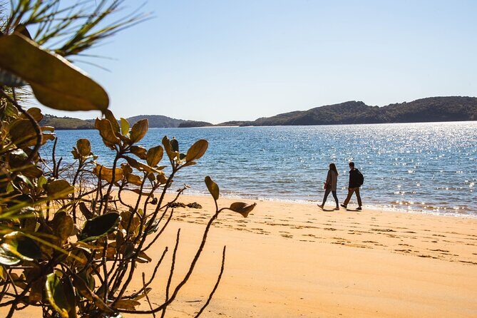 Stewart Island Fly Explore Fly ex Queenstown by Glenorchy Air - Your independent island time: up to five hours