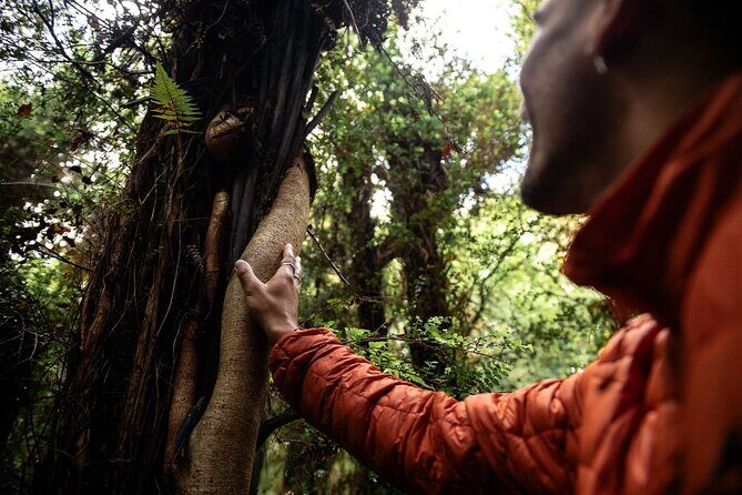 Stewart Island: Guided Wilderness Walk - Walking the coastal, beach, and forest trails at wilderness pace