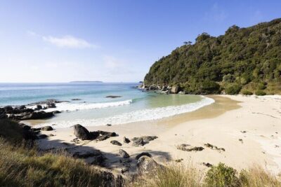 Stewart Island: Guided Wilderness Walk - The catamaran cruise from Oban: comfort first, then the scenery