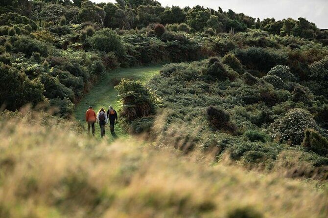Stewart Island: Guided Wilderness Walk - Who this tour fits best