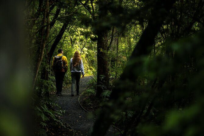 Stewart Island Guided Wilderness Walk - Getting the most out of your walk (without overthinking it)
