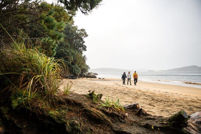 Stewart Island Guided Wilderness Walk - Timing and booking: why early planning helps