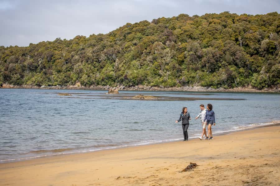 Stewart Island: Ulva Island Guided Wilderness Walk & Cruise - Key highlights you should care about