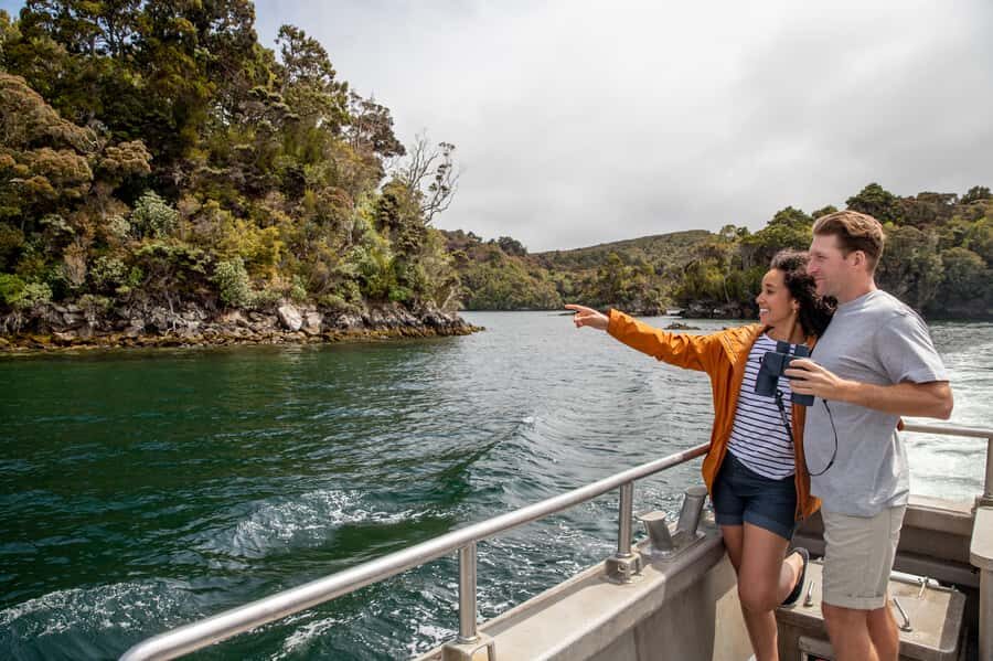 Stewart Island: Ulva Island Guided Wilderness Walk & Cruise - Paterson Inlet by catamaran: the cruise part does real work