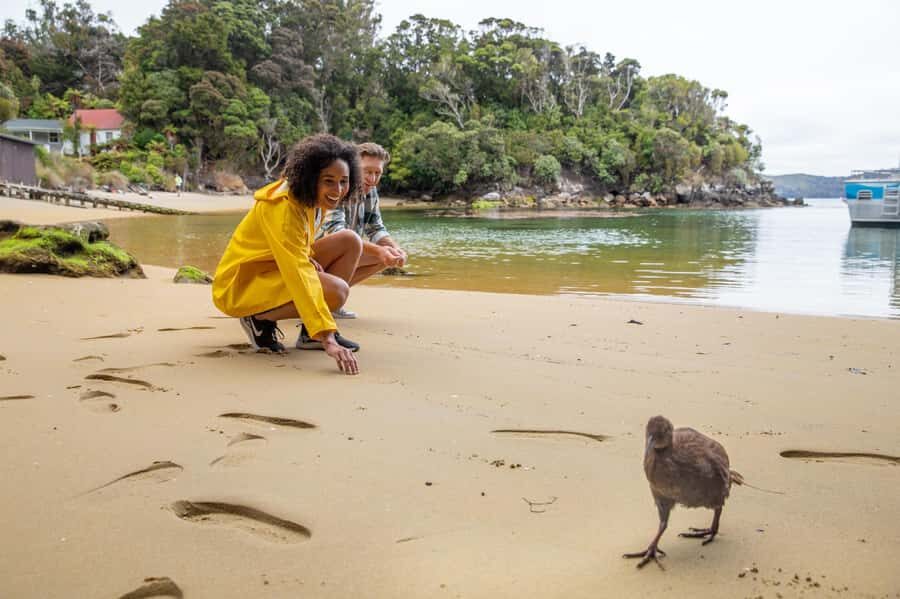 Stewart Island: Ulva Island Guided Wilderness Walk & Cruise - How guides like Karen and Jan make birds click into place