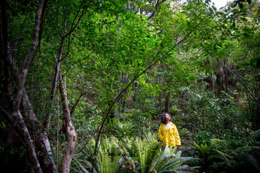 Stewart Island: Ulva Island Guided Wilderness Walk & Cruise - Pacing, weather, and what to pack for Stewart Island conditions