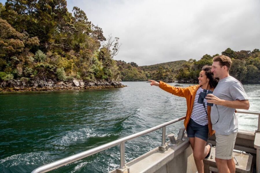 Stewart Island: Ulva Island Guided Wilderness Walk & Cruise - The value question: is $86 worth it for 150 minutes?